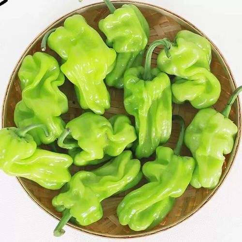 皱皮辣椒 云南高原的清脆辣味，唤醒每一顿家常美食